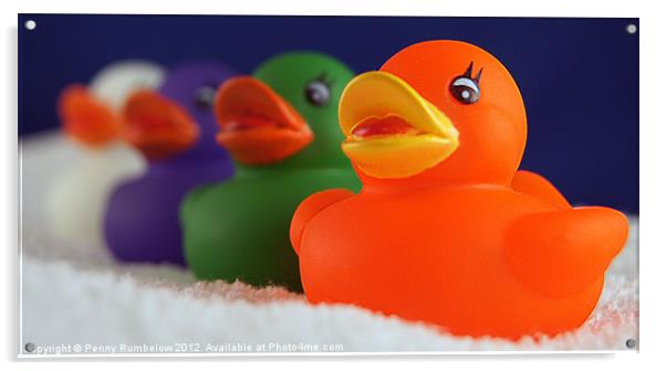 four colourful ducks Acrylic by Elouera Photography