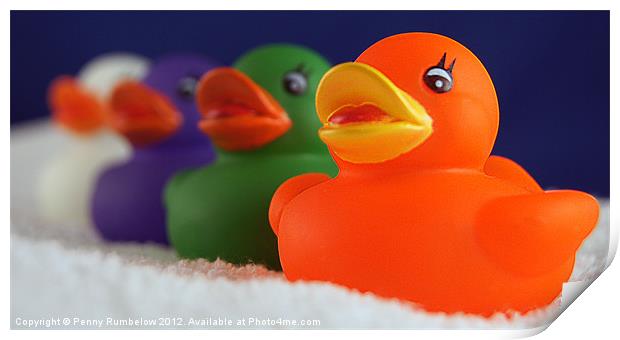 four colourful ducks Print by Elouera Photography