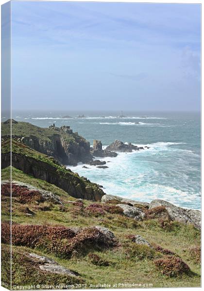 Wild coast Canvas Print by Linsey Williams