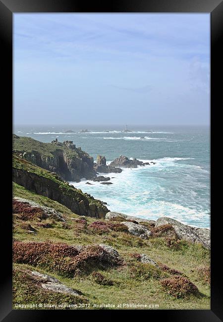 Wild coast Framed Print by Linsey Williams