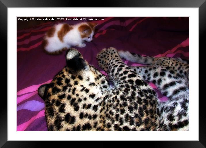 play with me Framed Mounted Print by helene duerden