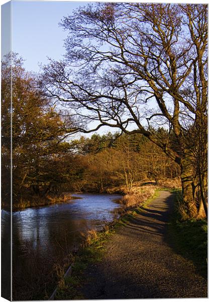 Gibside Walk Canvas Print by Northeast Images