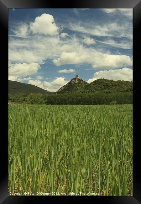 Rioja Castle Grassland Framed Print by Canvas Landscape Peter O'Connor