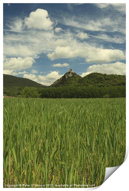 Rioja Castle Grassland Print by Canvas Landscape Peter O'Connor