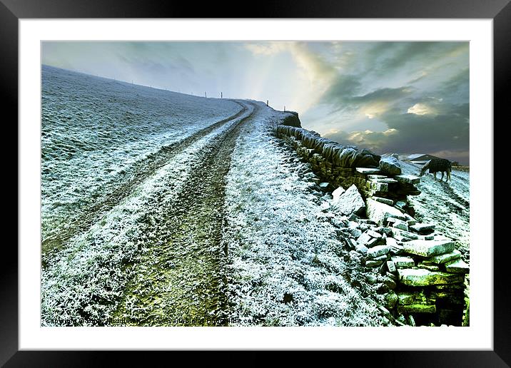 Icy Morning in Calderdale Framed Mounted Print by Brian Middleton