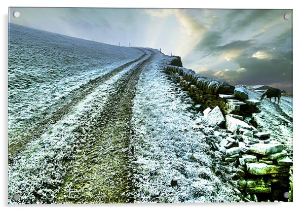 Icy Morning in Calderdale Acrylic by Brian Middleton