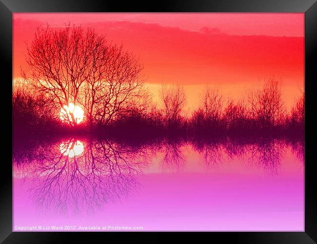 Sunset Reflection Framed Print by Liz Ward