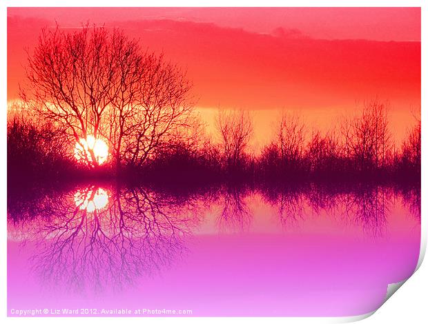 Sunset Reflection Print by Liz Ward