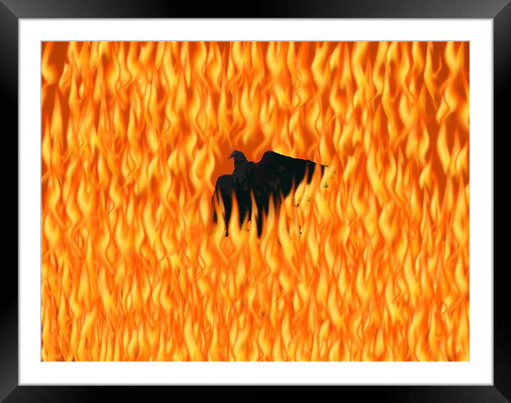 Firebird Framed Mounted Print by Stephanie Clayton