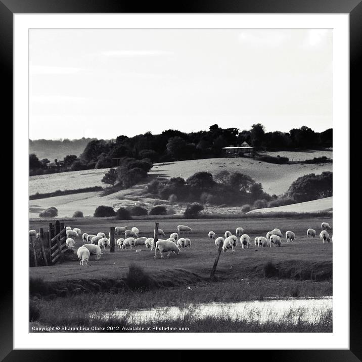 Out to Pasture Framed Mounted Print by Sharon Lisa Clarke