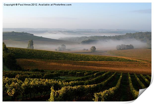 Mist over Cognac Vines Print by Paul Amos