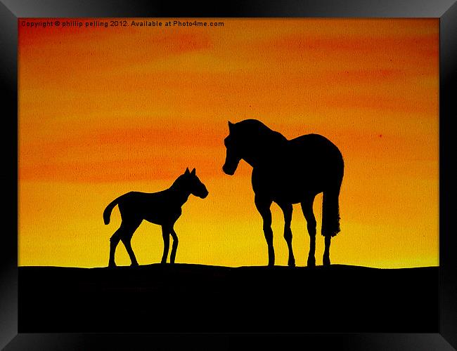 Wild Horses Framed Print by camera man