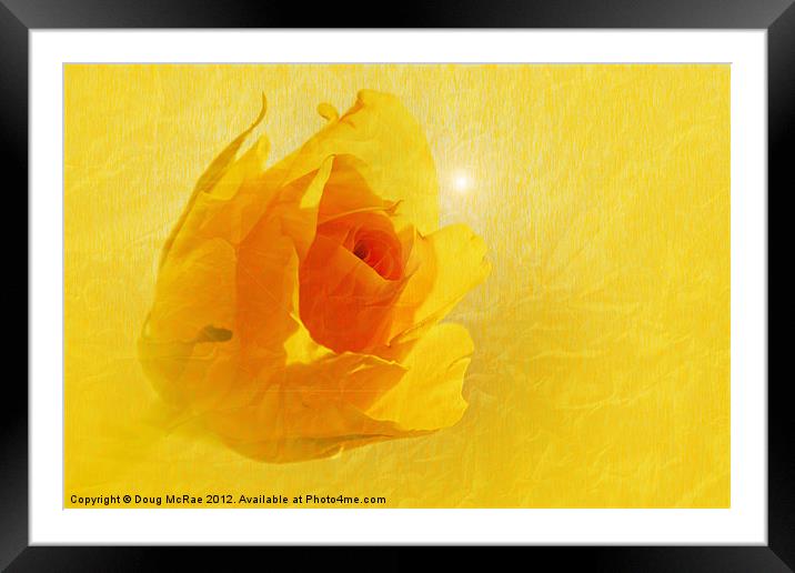 Yellow flame Framed Mounted Print by Doug McRae