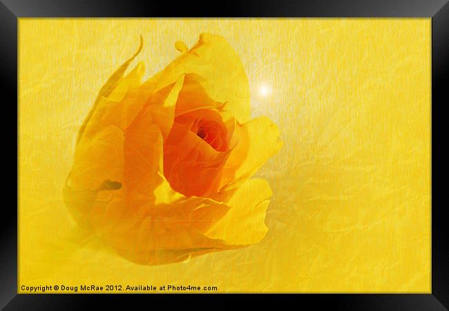 Yellow flame Framed Print by Doug McRae