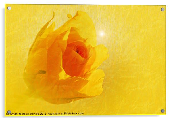 Yellow flame Acrylic by Doug McRae