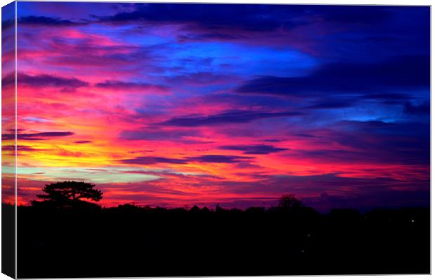 Sunset Over Radnor Park Canvas Print by David Shackle