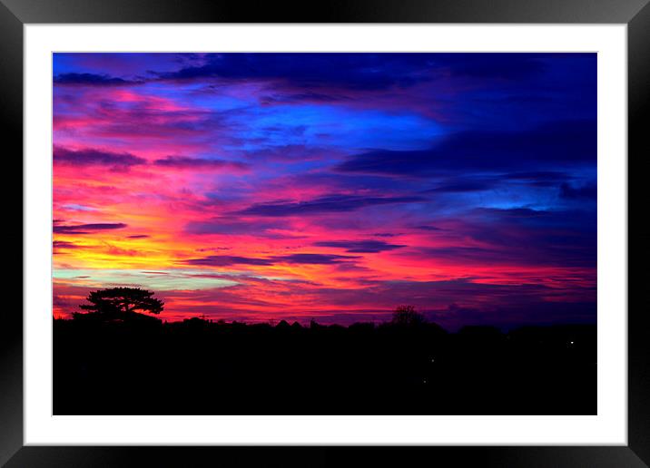 Sunset Over Radnor Park Framed Mounted Print by David Shackle