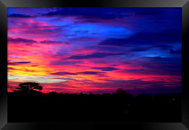 Sunset Over Radnor Park Framed Print by David Shackle
