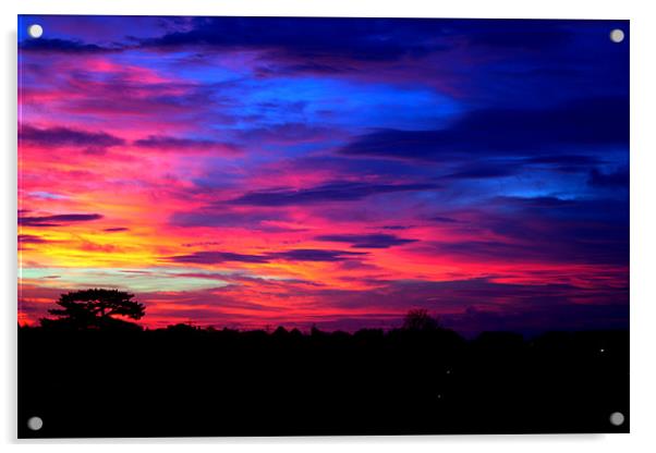 Sunset Over Radnor Park Acrylic by David Shackle