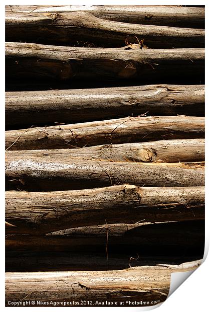 timber posts Print by Alfani Photography