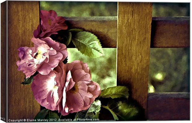 Vintages Rose Flowers on Trellis Canvas Print by Elaine Manley