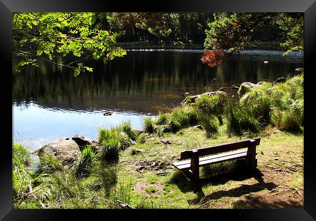 Take a break.. Framed Print by barbara walsh