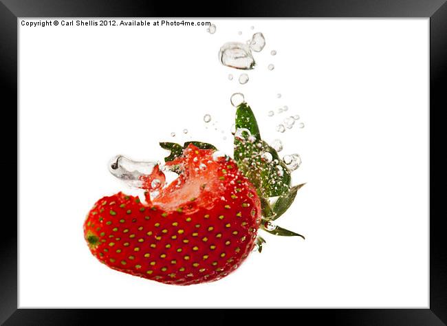 Strawberry sunday Framed Print by Carl Shellis