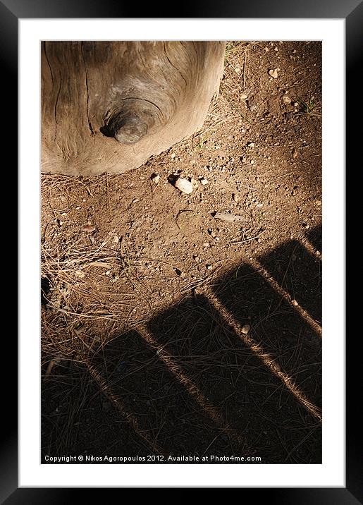tree trunk and bench shadow Framed Mounted Print by Alfani Photography