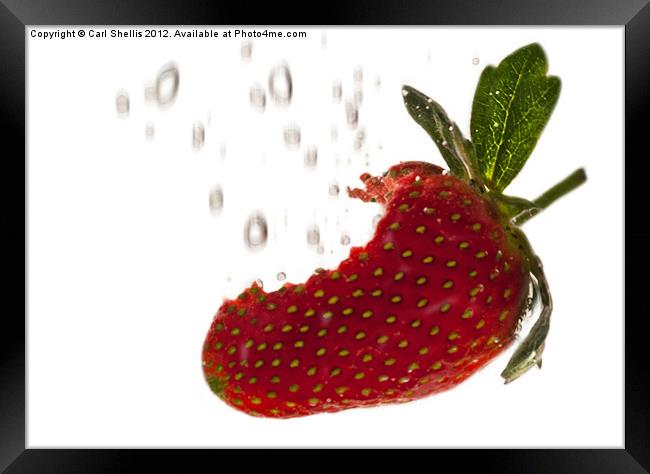 Strawberry Framed Print by Carl Shellis