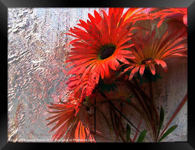 abstract floral Framed Print by joseph finlow canvas and prints