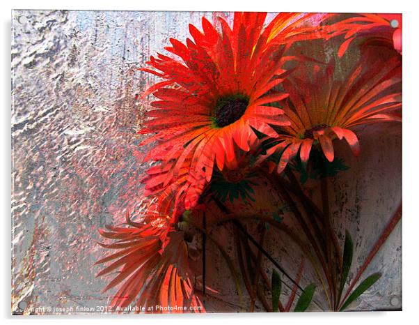 abstract floral Acrylic by joseph finlow canvas and prints