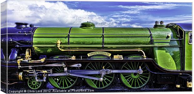 The Green Goddess Canvas Print by Chris Lord