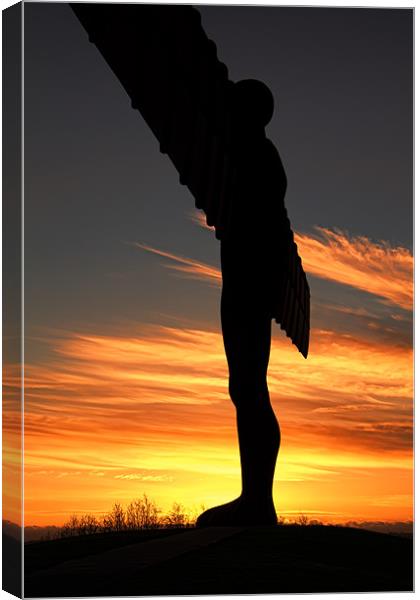 angel from the flames Canvas Print by Northeast Images