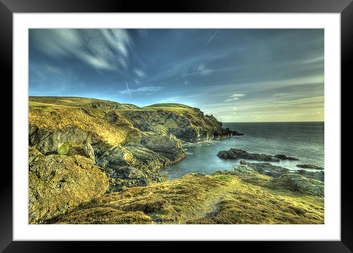 The Sound Calf of Man Framed Mounted Print by Julie  Chambers