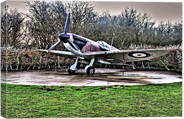 Spitfire Canvas Print by David Shackle