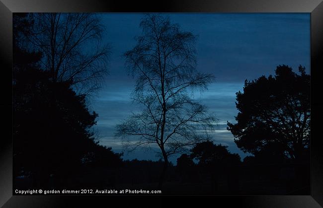 New forest evening blue sky Framed Print by Gordon Dimmer