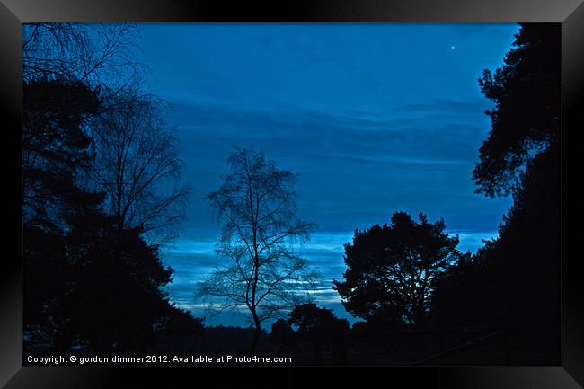 Blue sky in forest night Framed Print by Gordon Dimmer