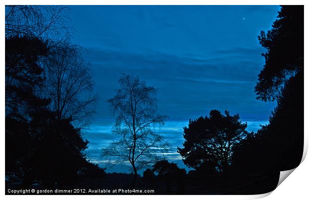 Blue sky in forest night Print by Gordon Dimmer
