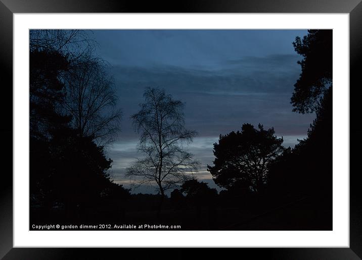 Darkness falls in New Forest Framed Mounted Print by Gordon Dimmer