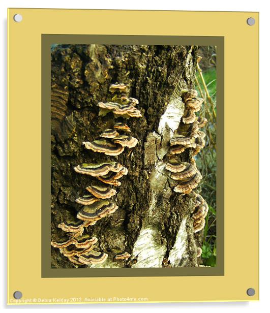 Tree Fungi Acrylic by Debra Kelday