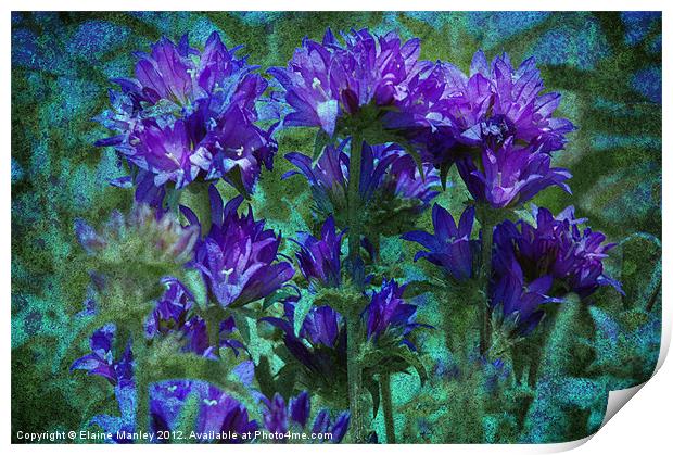 Purple Passion Flower Print by Elaine Manley