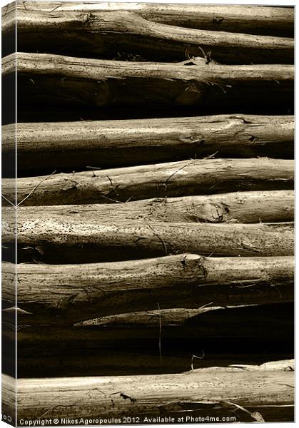 Timber posts Canvas Print by Alfani Photography