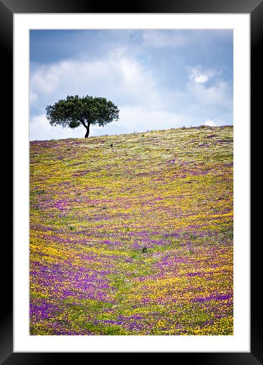 The Tree Up Wildflower Hill Framed Mounted Print by Canvas Landscape Peter O'Connor