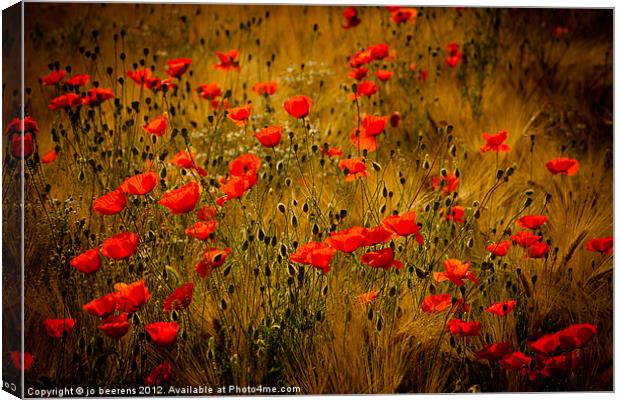 poppy fields forever Canvas Print by Jo Beerens