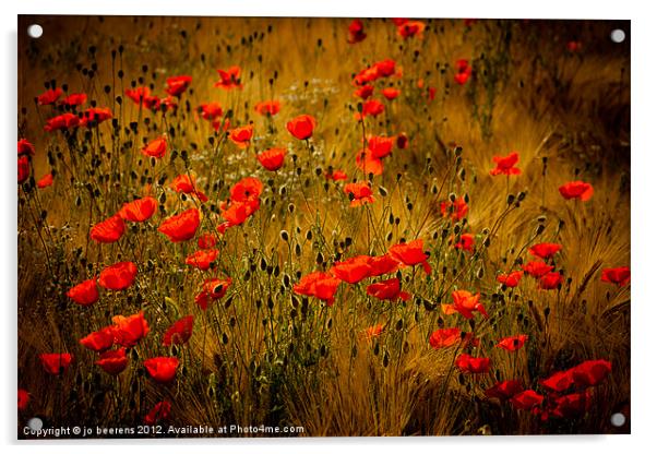 poppy fields forever Acrylic by Jo Beerens