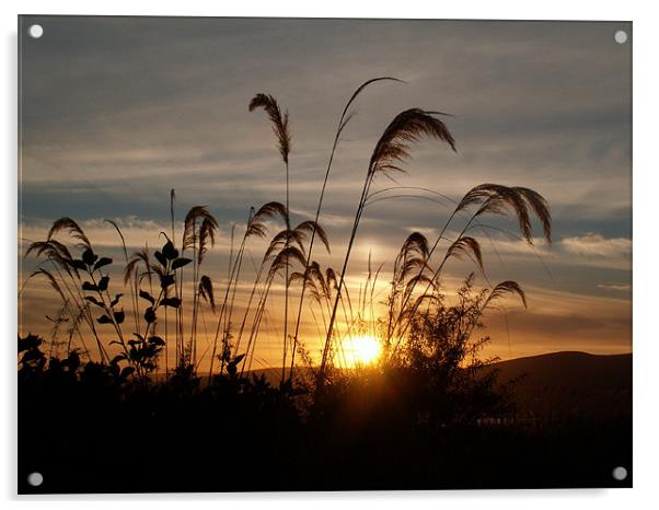 Loch Lomond Sunset Acrylic by Mark King