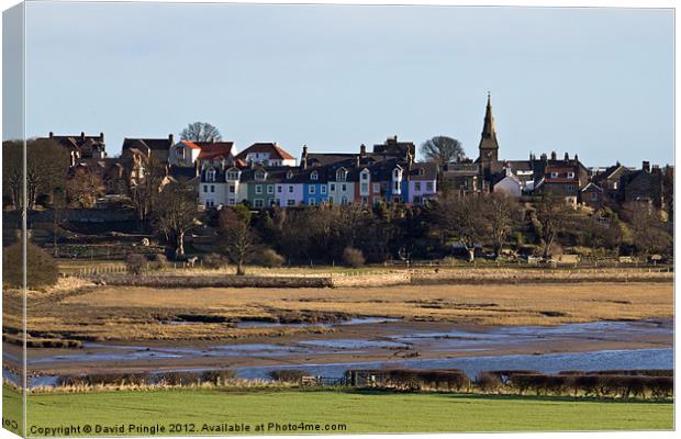 Pastel Coloured Houses Canvas Print by David Pringle