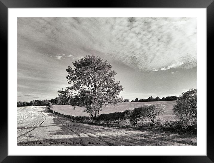 NEAR SHILLINGTON Framed Mounted Print by Helen Cullens