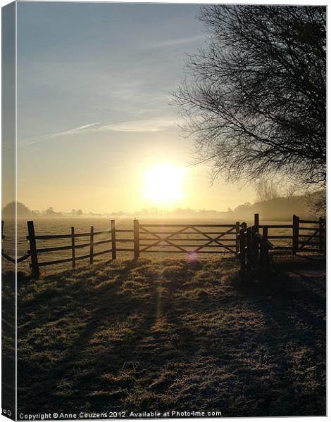 Frosty sunrise in Runnymede Canvas Print by Anne Couzens
