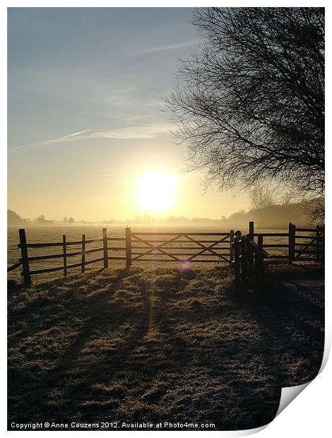 Frosty sunrise in Runnymede Print by Anne Couzens